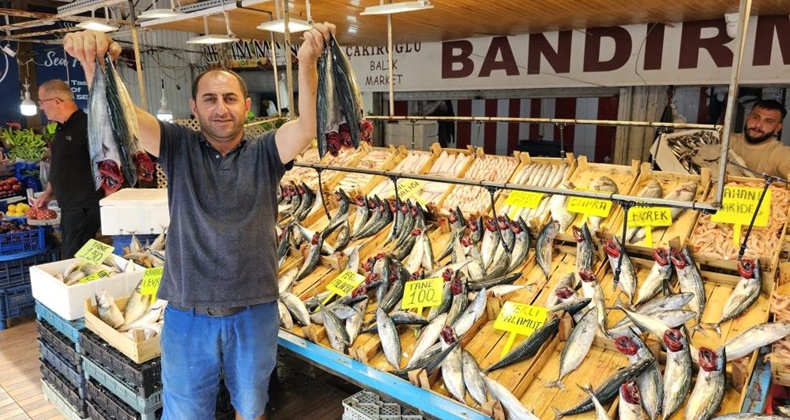 Av yasağı bitti tezgahlar palamutla doldu