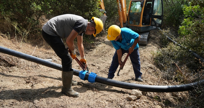 Zeytincilerin gelirinde 150 milyona yakın artış olacak