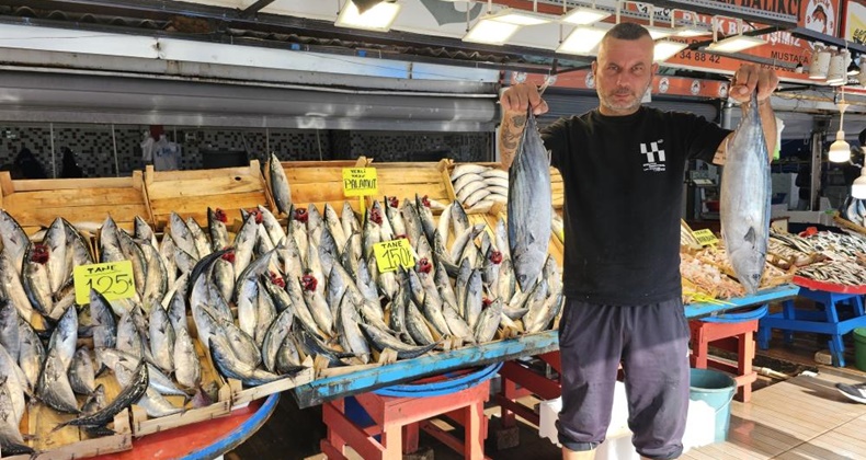 Bandırma Balık Hali’nde palamut bolluğu yaşanıyor