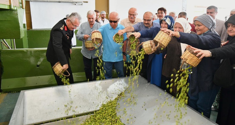 Vali İsmail UstaoğluZeytinyağı Sıkım Etkinliğine Katıldı