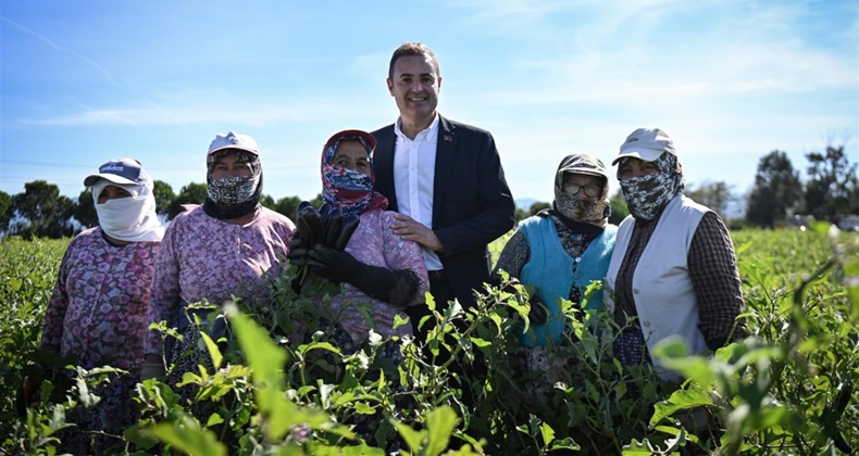 Patlıcan toplayan kadın çiftçilere Başkan Akın’dan sürpriz ziyaret