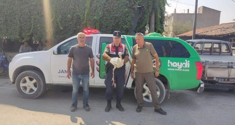 Balıkesir’de kaçak avcılık ve yaban hayatı koruma çalışmaları sürüyor