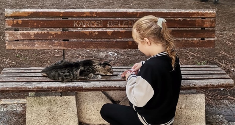 Balıkesir’de Sevgi Dolu Anlar: Sokak Hayvanlarına Destek