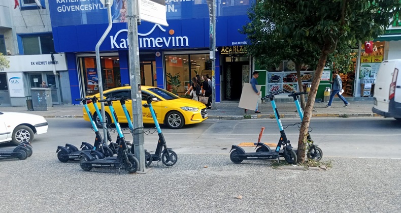 martı