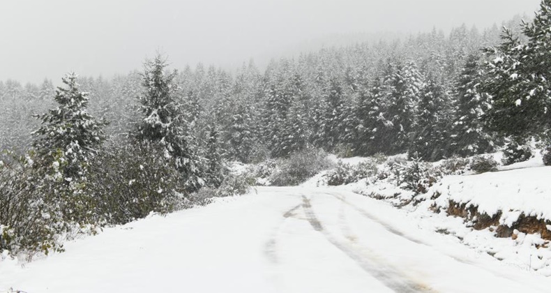 Ordu yaylalarında görsel kar şöleni