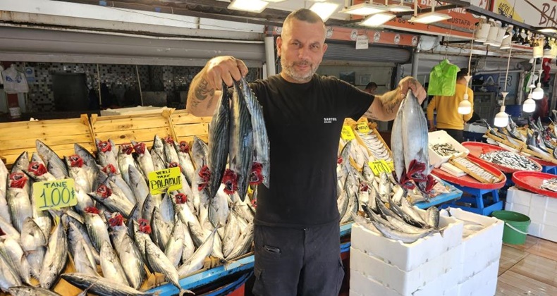 Palamut irileşti fiyatı yüz güldürdü