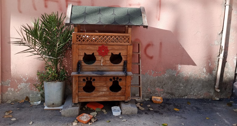 Sokak Hayvanları İçin Barınak ve Mama Desteği