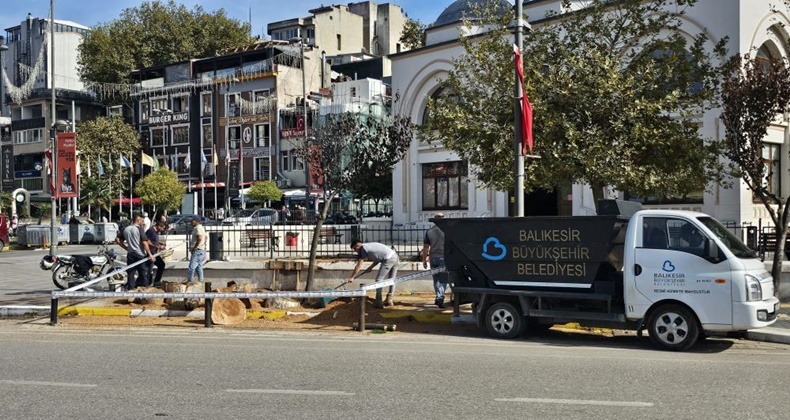 Bandırma’da asırlık kavak ağacı tamamen kesildi