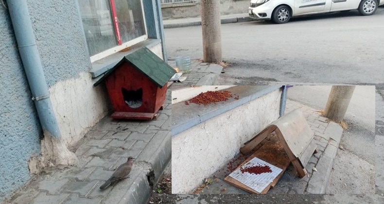 Mahalle Sakinlerinden Sokak Hayvanlarına Destek
