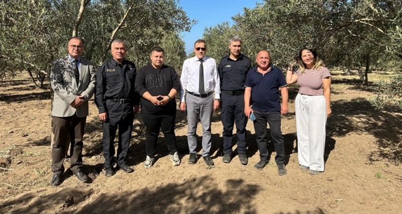 Kaymakam İlyas Memiş zeytin hasadına katıldı