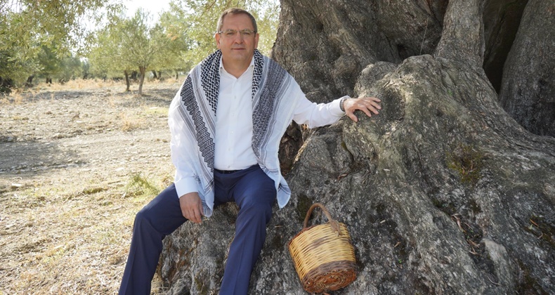 Ayvalık Belediye Başkanı Ergin’den “Dünya Zeytin Ağacı Günü” Mesajı