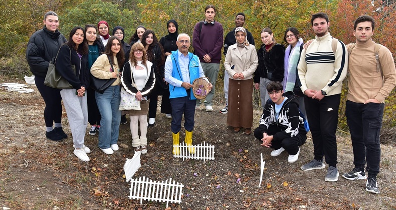 BAÜN Botanik Bahçesinde İlk Safran Hasadı Gerçekleşti