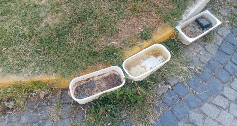 Balıkesir’de Sokak Hayvanları İçin Bırakılan Mama Kaplarının Kirliliği Endişe Yaratıyor