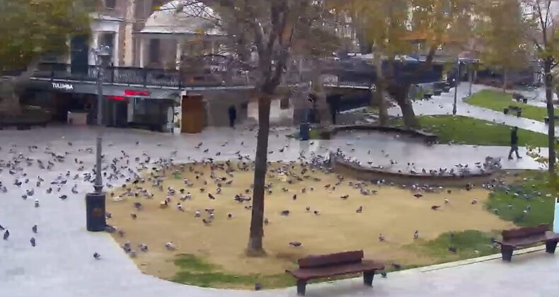 Meydan Kuşlara Kaldı