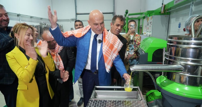 Bin yıllık zeytin ağacından hasat yapıldı