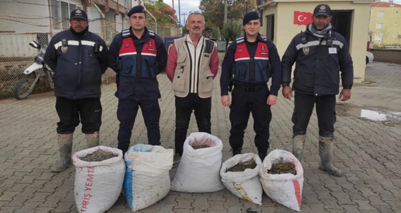 Balıkesir’de ‘Zeytin’ bekçileri hırsızlara geçit vermiyor
