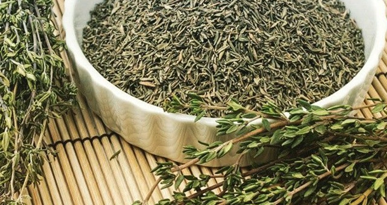 Kaz Dağları’ndan Gelen Şifa: Balıkesir’in Kekik Çayı