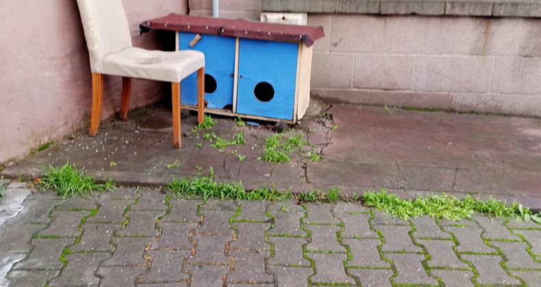 Minik Barınak Sokak Hayvanları İçin Yapıldı