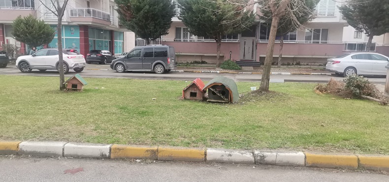 Karesi’de Sokak Hayvanlarına Örnek Duyarlılık