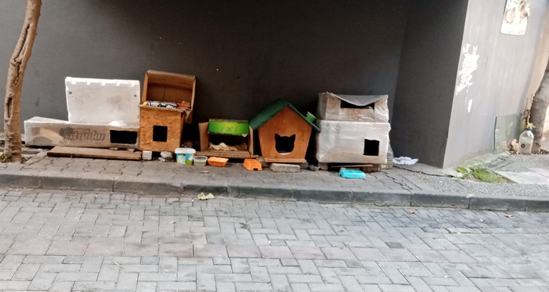 Balıkesir’de Sokak Hayvanlarına Örnek Duyarlılık