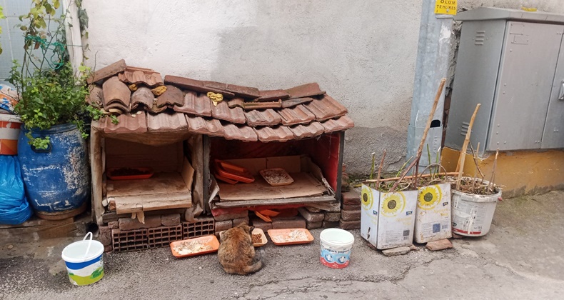 Mahalleliler Sokak Hayvanlarını Unutmuyor