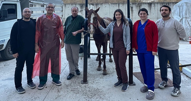 BAÜN Veteriner Fakültesi Hayvan Hastanesi Bölge Hayvancılığına Güç Katmaya Devam Ediyor