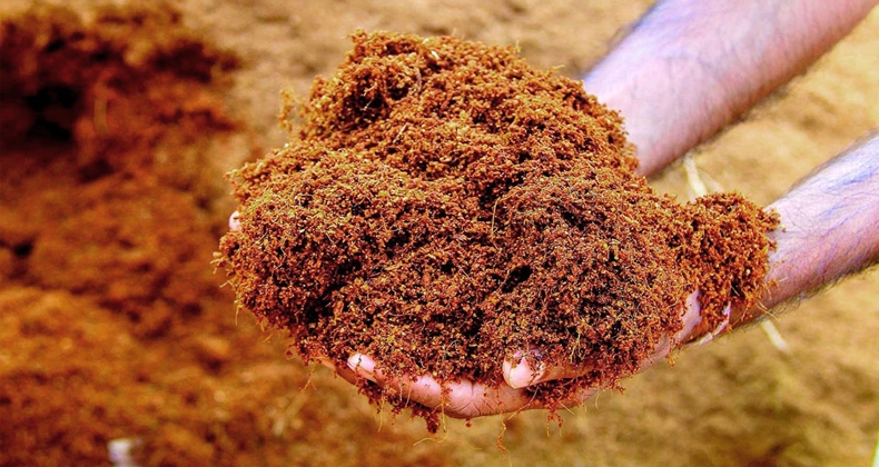Balıkesir’de Cocopeat Kullanımı Yaygınlaşıyor