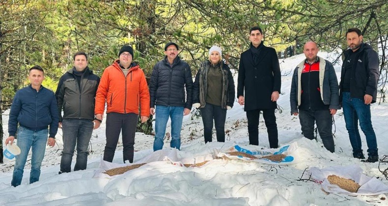Balıkesir’de yaban hayvanları unutulmadı