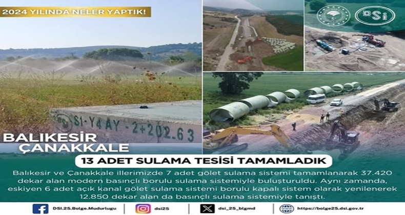 DSİ 1