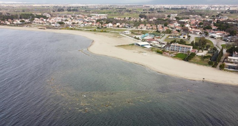 deniz