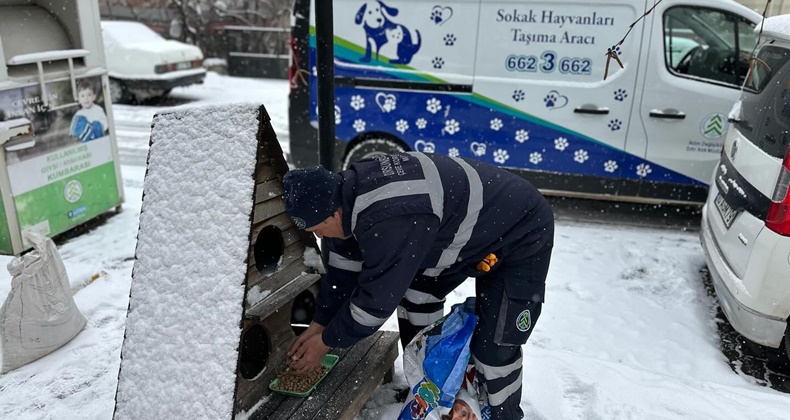 Dursunbey Belediyesi Karla Kaplı Sokaklarda Sokak Hayvanlarını Unutmadı