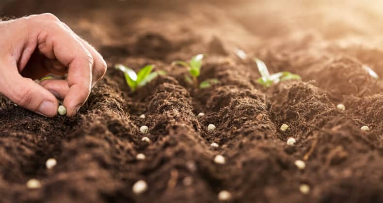 Balıkesir’de Cemrelerin Düşmesiyle Birlikte Hobi Bahçelerinde Ekime Başlandı