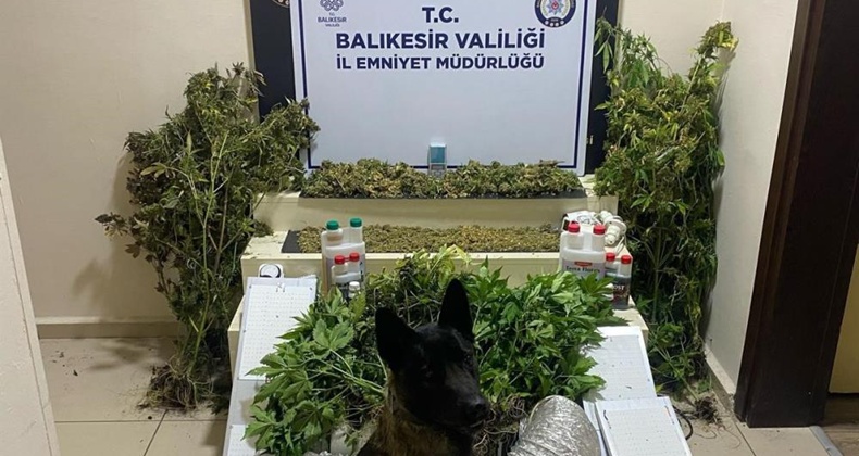 asayiş
