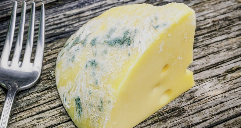 Küfünü Alıp Yiyebileceğiniz ve Yiyemeyeceğiniz Yiyecekler