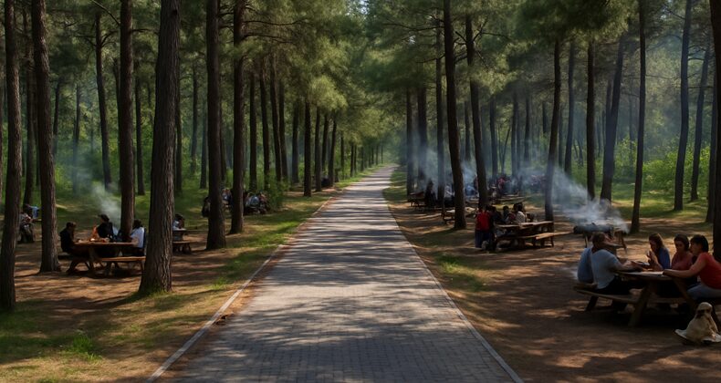 Balıkesir’de Baharın Tadını Çıkarabileceğiniz Piknik Alanları