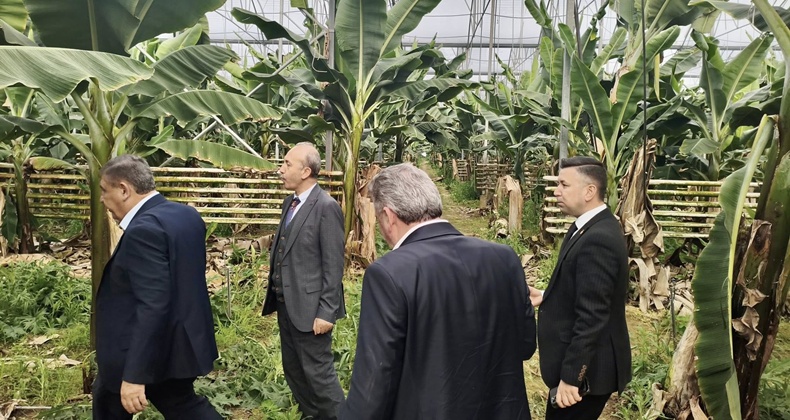 Balıkesir, Örtü Altı Üretimin Merkezi Olma Yolunda İlerliyor