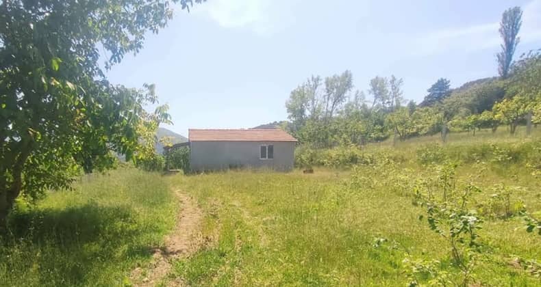 Tarla ile arsa arasındaki farkları bilmeden arazi almayın