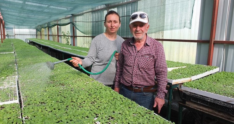 Balıkesir Burhaniye’yi Fide Üretim Merkezi haline getirdi