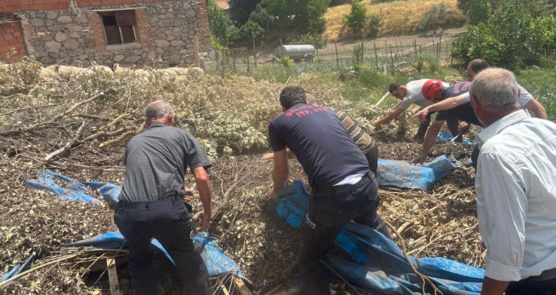Sındırgı’da Hayvan Damı Çöktü: 138 Koyun Canlı Kurtarıldı