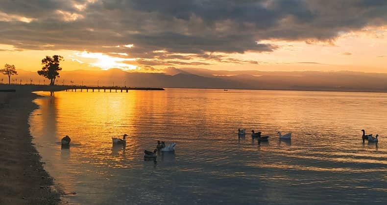Akıllı telefonla kaliteli fotoğraf çekmenin 7 altın kuralı