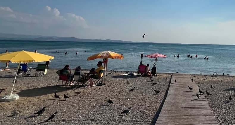Altınkum Plajı’nda deniz suyu kirliliği alarmı