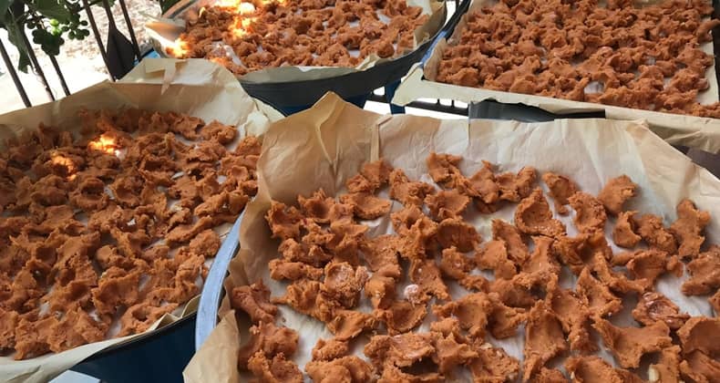 Balıkesir’de tarhana sezonu başladı