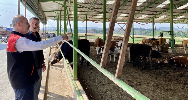 Balıkesir’de Kurban Bayramı Hazırlıkları Tüm Hızıyla Sürüyor