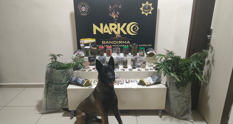 narkotik