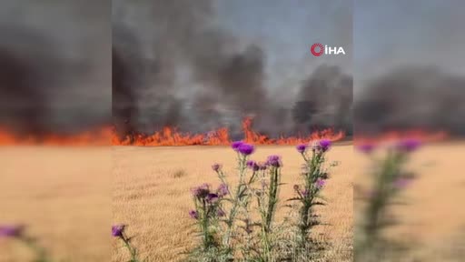 Susurluk-Bandırma karayolunda tarla yangını