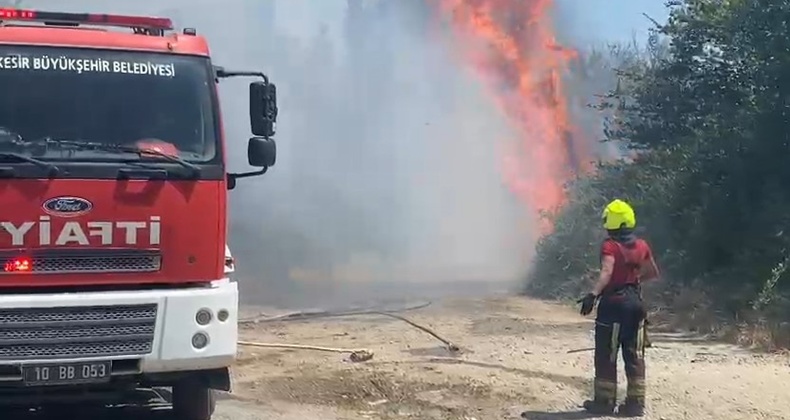 Balıkesir’de 40 dereceyi aşan sıcaklık ve rüzgarın etkisiyle yangın kısa sürede büyüdü