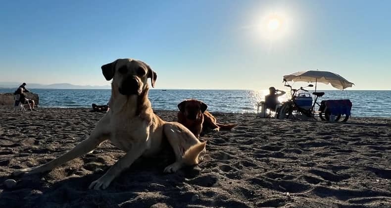 Sabahın serinliğinde denize girerken dikkat etmek gerekiyor