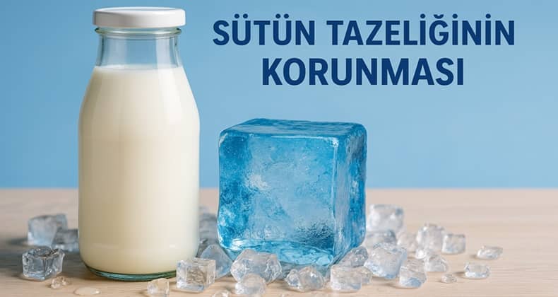 Sıcaklarda Süt Alarmı: Tazelik Nasıl Korunur, Bozulan Süt Neye Yol Açar?