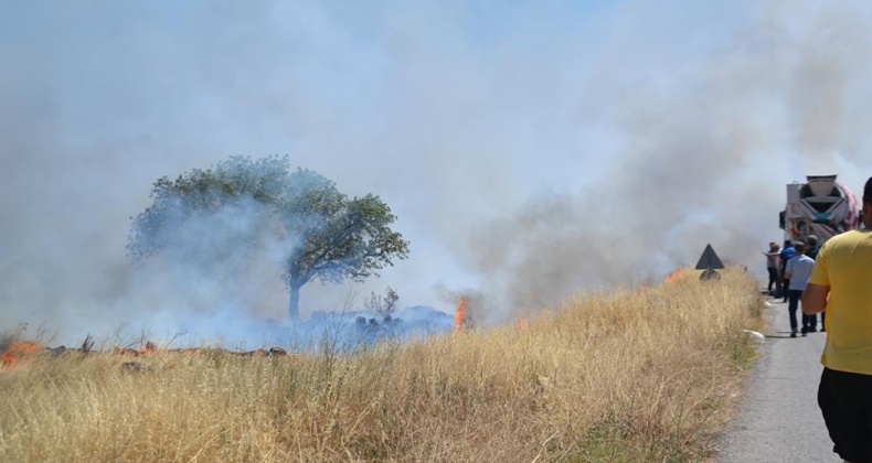 Ayvalık’ta çıkan arazi yangını bölgedeki iş yerlerini tehdit etti