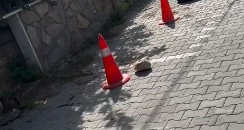 Balıkesir’de Duba Krizi: Sokaklar Adeta Paylaşılamıyor!